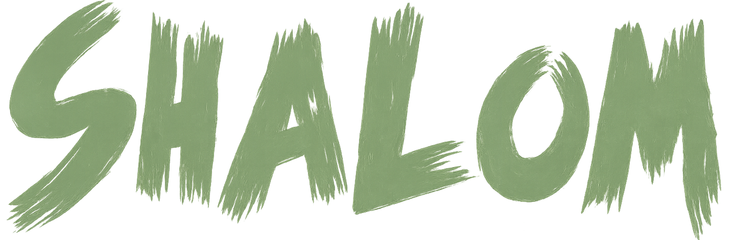 Shalom System Solutions